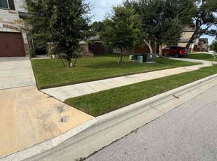 Terrell A.'s lawn service service result