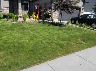 Tim M.'s lawn care services service result