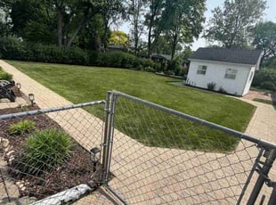Sarita N.'s lawn service service result