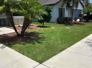 Joseph H.'s lawn service service result