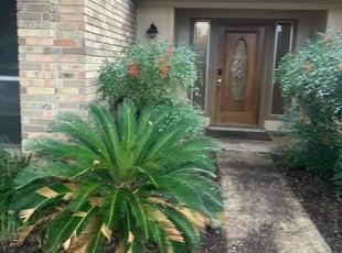 Jessica H.'s Bush Trimming service result