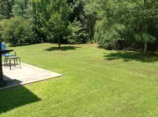 Jack W.'s lawn care services service result