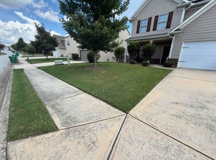 Buddy L.'s lawn care service result