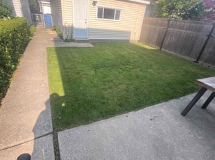 Sherrie W.'s turf maintenance service result