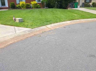 Michael W.'s turf care service result