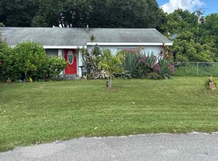 Lyndsay E.'s lawn care service result