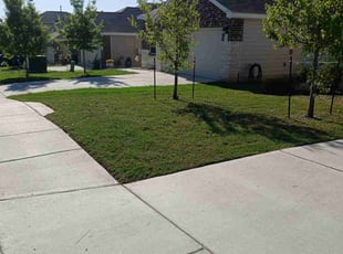 Adrian S.'s grass maintenance service result