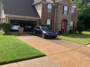 Jacqueline D.'s Bush Trimming service result