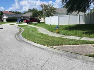 Amelia M.'s lawn service service result
