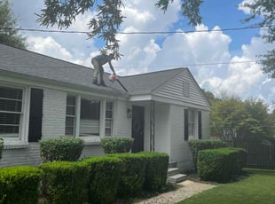 Ronnie G.'s Gutter Cleaning service result