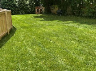Jacob V.'s turf maintenance service result