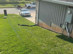 Derek N.'s lawn care services service result