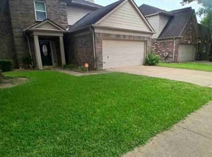 Denisse P.'s lawn care services service result