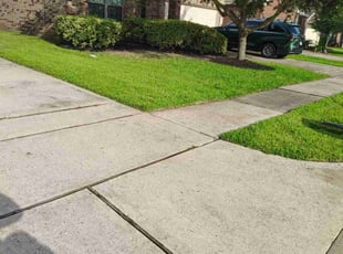 Christine T.'s turf care service result