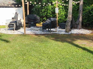 Susie P.'s turf maintenance service result