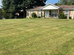 Tyler M.'s lawn maintenance service result