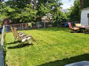 Dana D.'s turf care service result