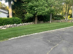 Miriam G.'s turf care service result