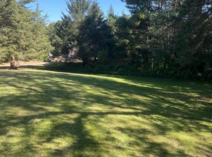 William O.'s lawn maintenance service result
