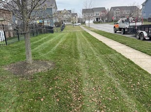 Amy R.'s lawn care services service result