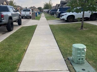 Michael M.'s lawn care services service result