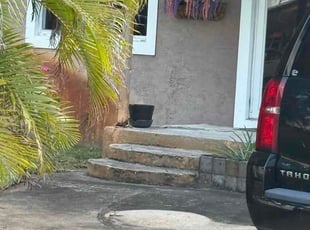 Kelly F.'s turf care service result