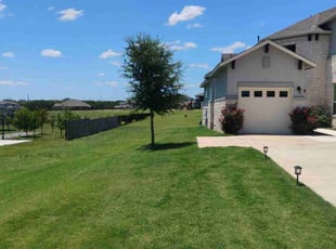 Becky W.'s turf care service result