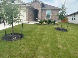 Renee S.'s Flower Bed Weeding service result