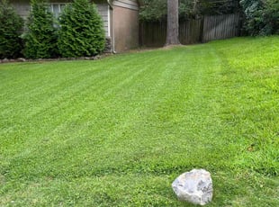Ahmad W.'s lawn maintenance service result