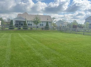 Adam B.'s lawn care service result