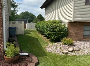 enrique p.'s Bush Trimming service result