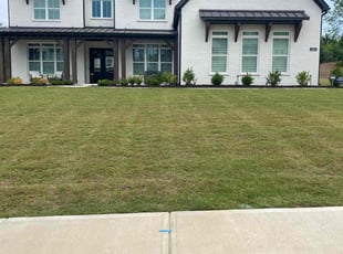 Clive S.'s lawn service service result