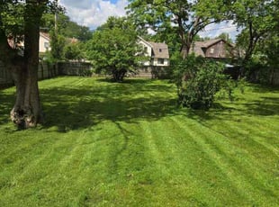 Mayzella W.'s lawn service service result