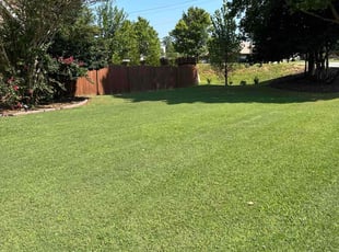 Alirah W.'s lawn service service result