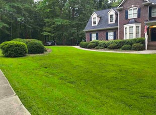 Dante H.'s Bush Trimming service result