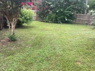 Alexander A.'s lawn maintenance service result