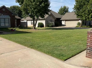 Mariann S.'s grass maintenance service result
