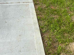 Mike M.'s lawn care services service result