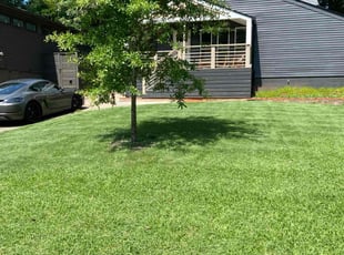 Merlene Y.'s yard service service result