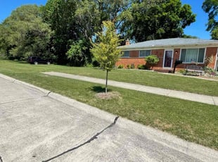 Calvin W.'s lawn maintenance service result