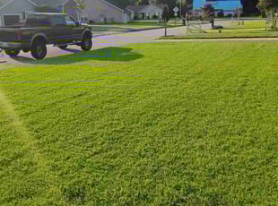 Marlow B.'s grass maintenance service result