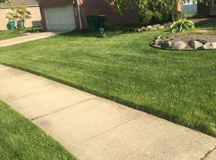 Marc R.'s lawn service service result