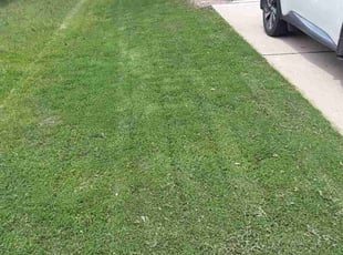 Christina R.'s turf maintenance service result