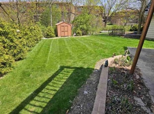 Michael N.'s lawn service service result