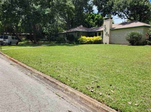 Josetta D.'s Long Grass Cleanup service result