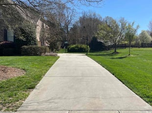 Bernadette -.'s grass cutting service result