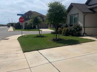 James H.'s turf care service result