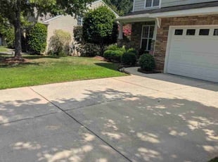 David L.'s turf care service result