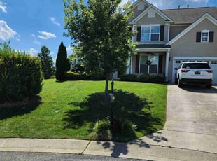 Jean C.'s lawn maintenance service result