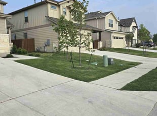 Swathi K.'s grass maintenance service result
